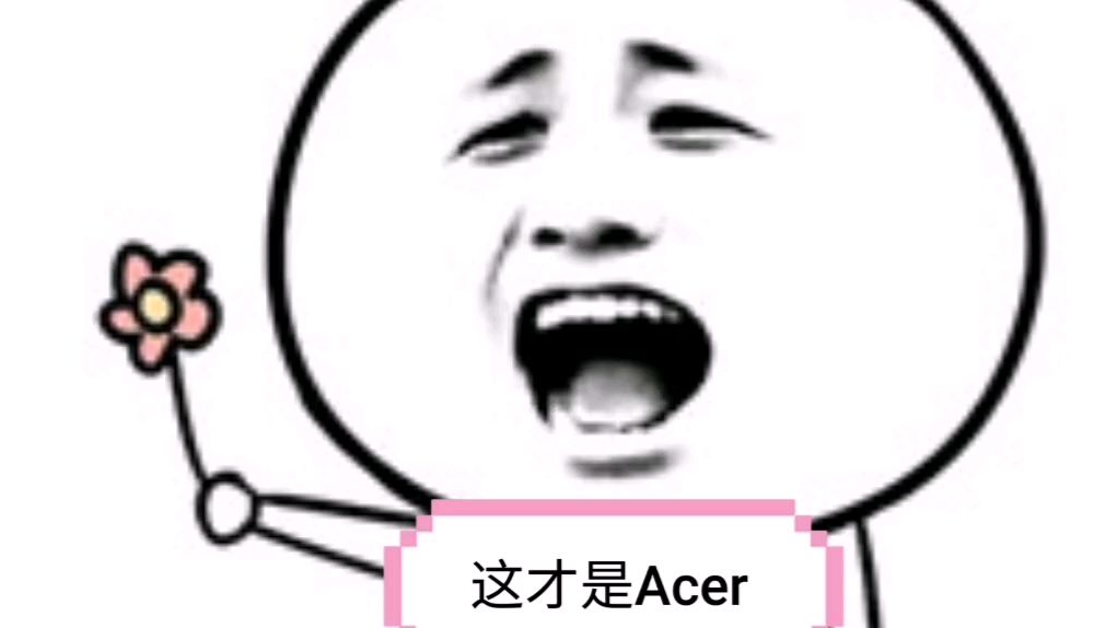 【可能这就是Acer吧】我是“单推人”